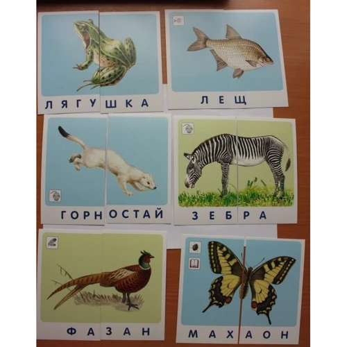 Зебра. Мир животных: Обложка Картон
