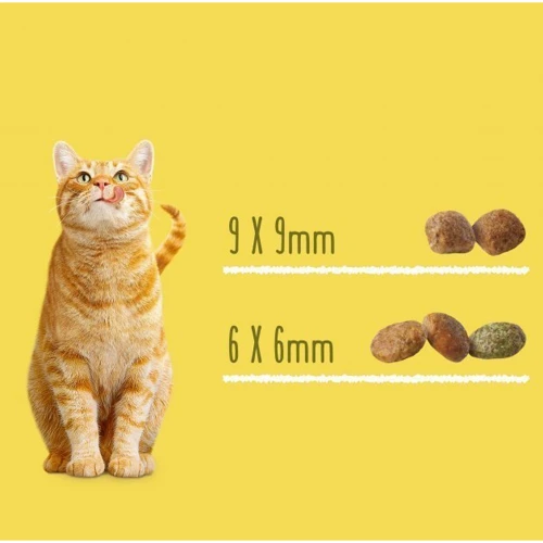 Сухой корм Friskies для стерилизованных кошек и кастрированных котов с лососем и овощами 10 кг (7613033205064): Возраст Взрослые