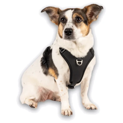 Шлея Max & Molly Smart ID Sport Harness Matrix 2.0 Black M 48-65 см черная (4255636809213) фото 5