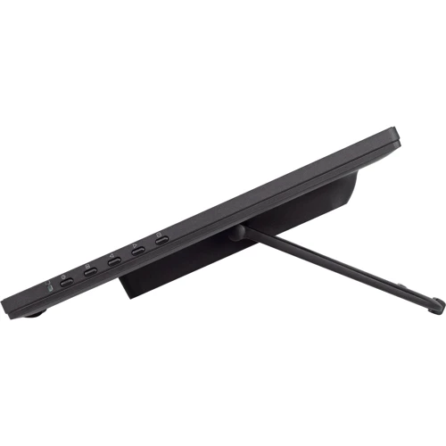 Монитор iiyama ProLite T2455MSC-B1: Время реакции, мс 5