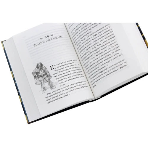 Энджи Сэйдж: Септимус Хип. Книга 1. Магика: Количество страниц 576
