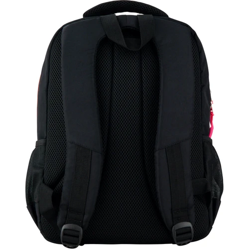 Рюкзак GoPack Education 113-3 Bright day go20-113m-3: Тип Для средней школы