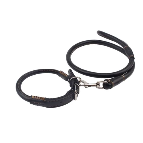 Ошейник с поводком Chisa Sexy Slave Collar&Leash