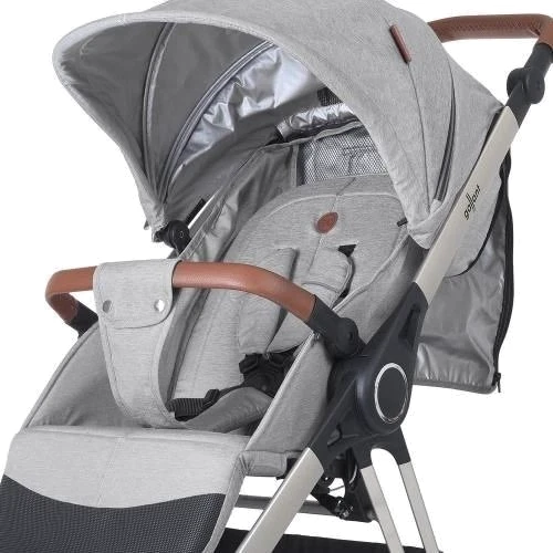 Коляска прогулочная El Camino ME 1071-1 GALLANT v.2 Cloud Gray (ME 1071-1 Cloud Gray EL CAMINO): Пол ребенка Унисекс
