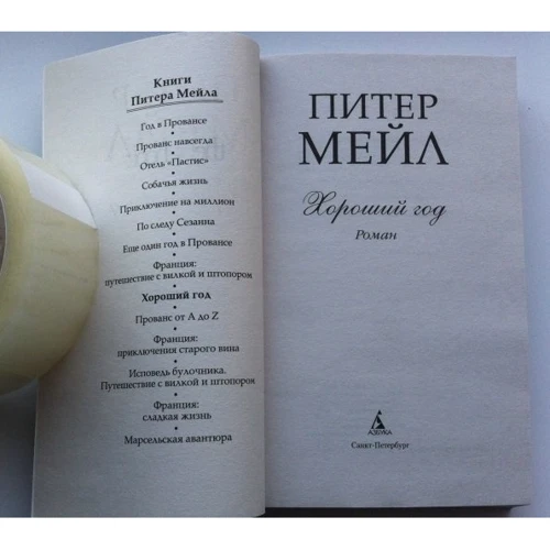 Пітер Мей. Гарний рік: Жанр Сучасна проза