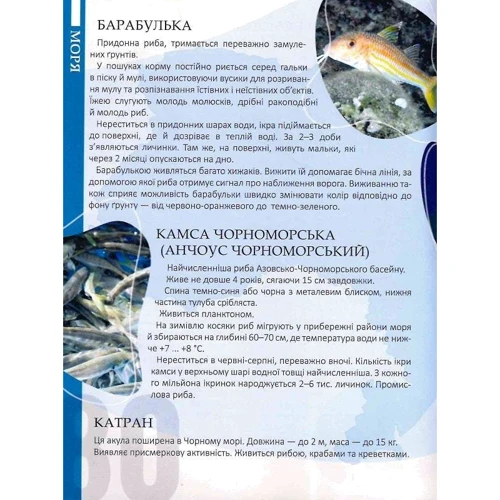 Тетяна Станкевич: Перлини природи України: ISBN 978-966-9890-76-4