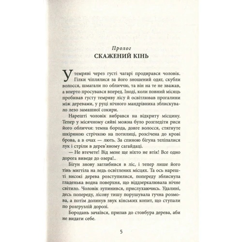 Василь Тибель: Бурштин: Обложка Твердая