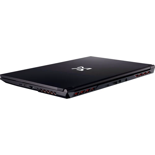 Ноутбук Dream Machines RG2050-15 (RG2050-15UA26) UA: Экран 15.6" WVA (1920x1080) Full HD