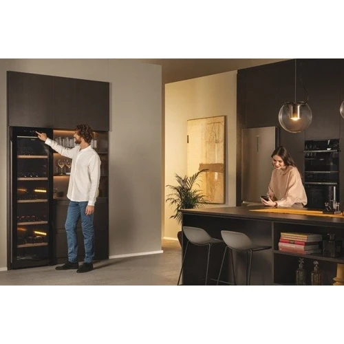 Винный шкаф Haier HWS247GGU1: Цвет черный
