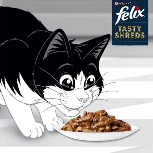 Влажный корм FELIX Tasty Shreds для взрослых котов мультипак: 2х80г с говядиной и 2х80г с курицей (7613287650320): Тип Влажный корм