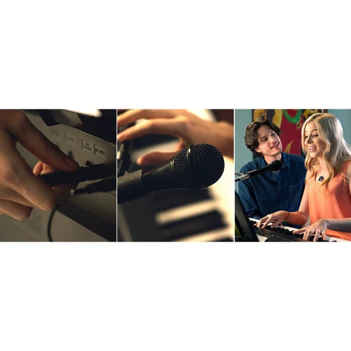 Синтезатор YAMAHA DGX-660 B (+ блок живлення): Тип Професійні