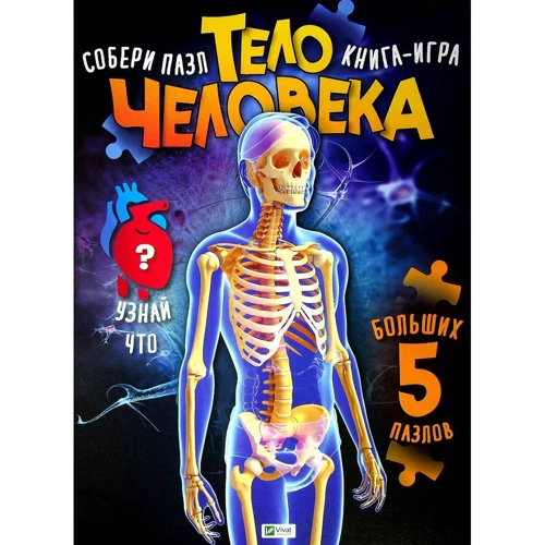 Тіло людини