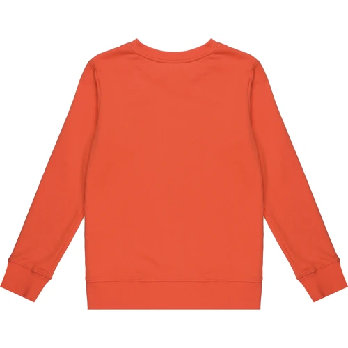 Світшоти H & M 2105400 134-140 см помаранчевий: Тип Світшоти