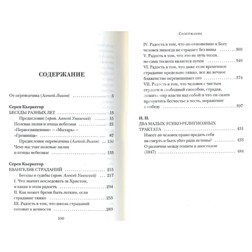 Сёрен Кьеркегор: Беседы и размышления: Производитель Рипол Классик