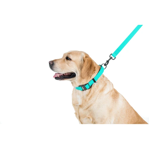 Поводок WAUDOG Waterproof, светящийся 15 мм 122 см ментоловый (2730): Ширина 15 мм