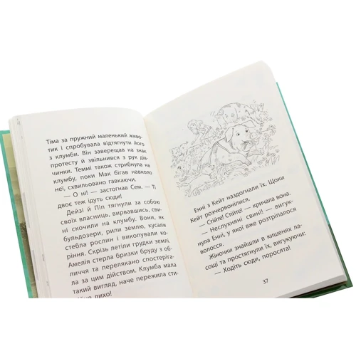Люсі Деніелс: Історії порятунку. Книга 6. Хом`ячок утікач: Количество страниц 128