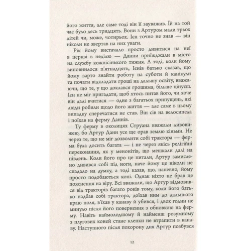Мері Ловсон: По той бік мосту: Количество страниц 384