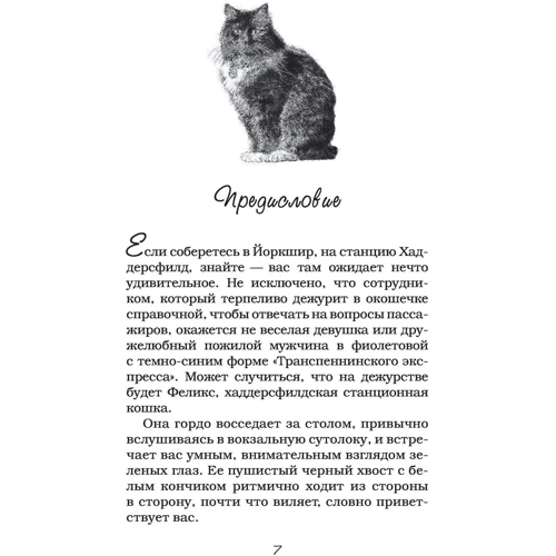 Феликс с железной дороги: Жанр Современная проза