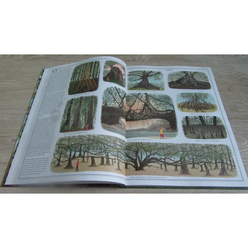 Петро Соха, Войцех Грайковскій: Дерева: ISBN 978-5-91759-711-9