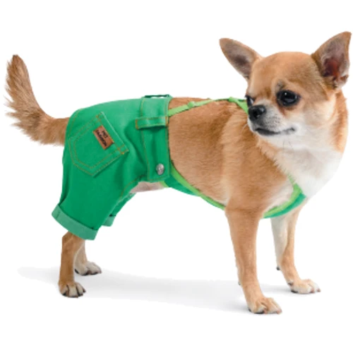 Брюки для собак Pet Fashion АРНИ XS зеленые (4823082410439)