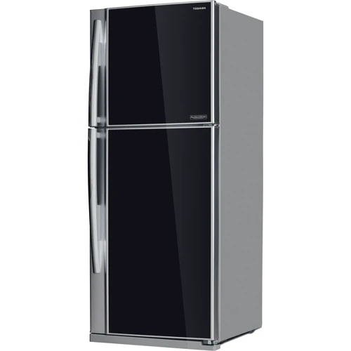 Холодильник Toshiba GR-RG46UT-C(GU) Vertical Black: Объем холодильной камеры, л 258