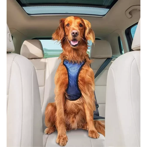 Шлея PetSafe Happy Ride Safety Harness для собак автомобильная черно-синяя L (57856) фото 2