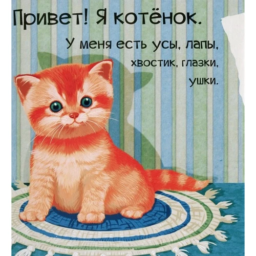Мария Жученко: Знакомься, я котенок: Производитель Фактор