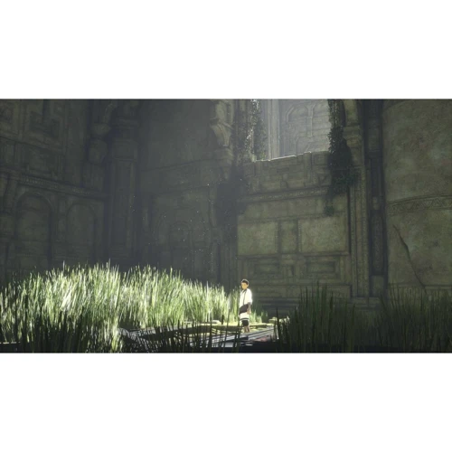 The Last Guardian (PS4)