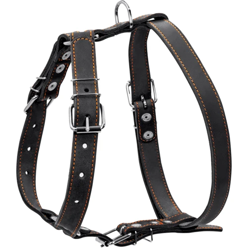 Шлея одинарная Collar для средних пород собак, 25мм, черный