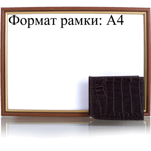 Мужской зажим для денег Canpellini коричневый (SHI070-11) фото 8