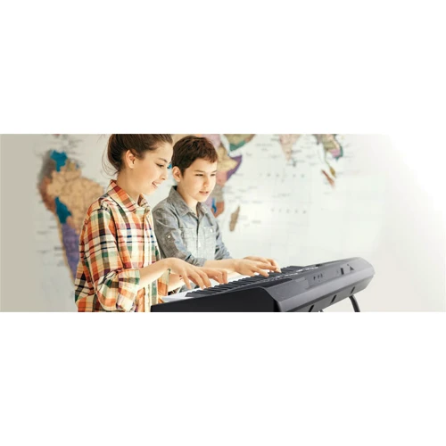 Синтезатор YAMAHA PSR-E363 (+ блок живлення): Тип Професійні