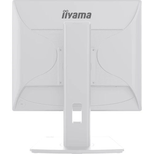 Монитор Iiyama ProLite B1980D-W5 White: Угол обзора, гор / верт 170/160