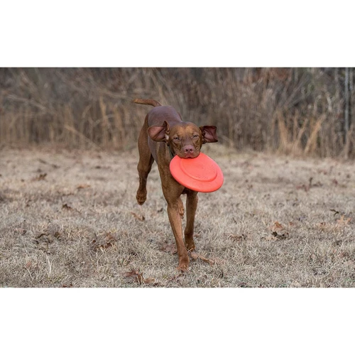 Іграшка-тарілка Dexas Off-Leash Frisbee Flyer з карабіном для собак 22х6х22 см (PWT010-2027) фото 2