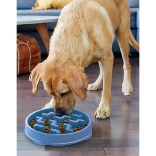 Миска-лабиринт для собак Outward Hound Fun Feeder Тетрис средняя голубая (oh67830): Материал Пластик