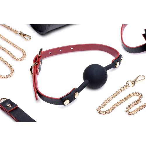 Набор для BDSM Master Series Bow - Luxury BDSM Set With Travel Bag