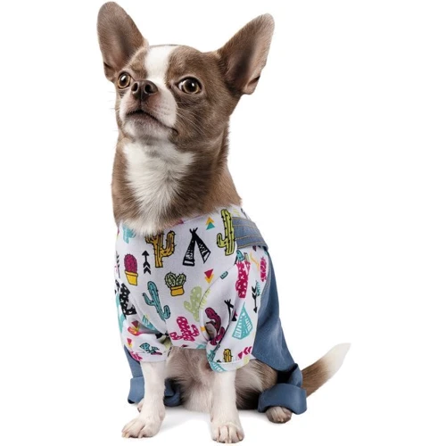 Костюм Pet Fashion Астро для маленьких собак XS голубой: Тип Костюмы