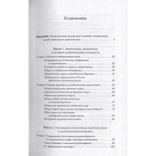 Еміль Паін, Сергій Федюнин: Нація і демократія: Обкладинка Тверда
