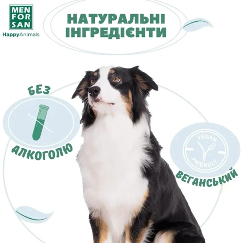 Духи для собак DANDY DOG 50 мл (54103MFP029276) фото 2