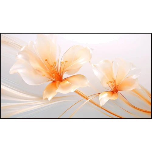 Проекционный экран XGIMI 100 UST ALR Screen (P165S)