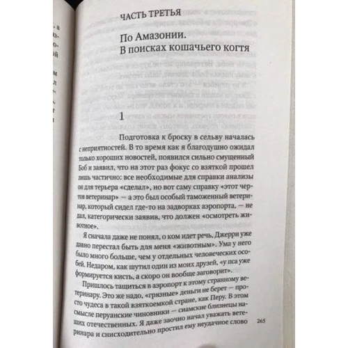 Петр Романов: Что такое Перу: Количество страниц 383