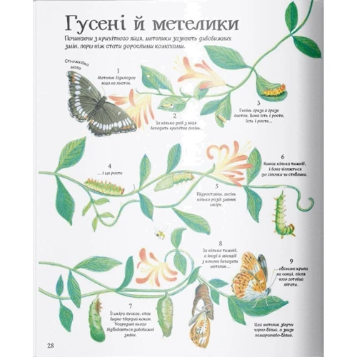 Велика ілюстрована книга про природу фото 6