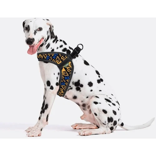 Шлея HiDog Comfort Молодежный 33-39 см XS разноцветная фото 5
