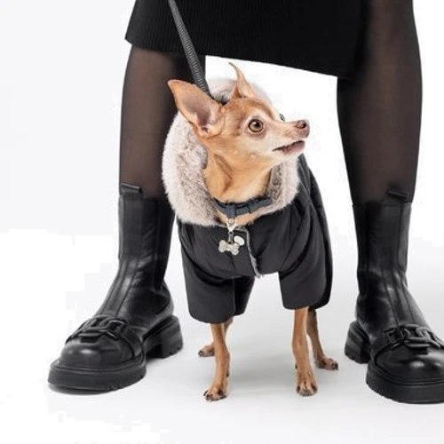 Комбинезон для собак Pet Fashion BLACK XXS (4823082428601): Размер животного Маленькие