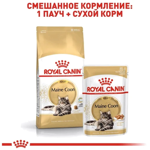 Влажный корм для котов Royal CanIn Maine Coon породы Мейн-кун 85 г (2031001): Класс Супер премиум