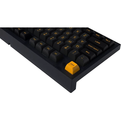 Клавиатура FL Esports FL750 SAM Polar night black Kailh MX Cool Mint wireless Three-Mode: Интерфейс подключения Bluetooth
