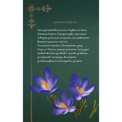 Щоденник Мавки. Осінь: Кількість сторінок 192