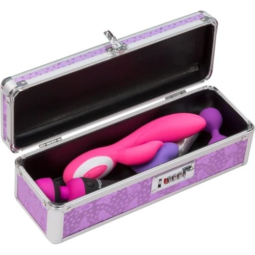 Кейс для хранения секс-игрушек Powerbullet - Lockable Vibrator Case Purple с кодовым замком