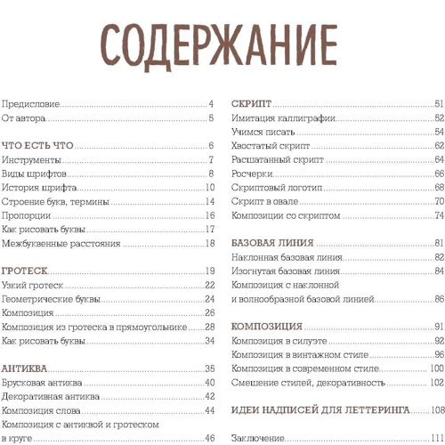 Тетяна Чулюскіна: Буква до букви. Леттерінг для початківців фото 8