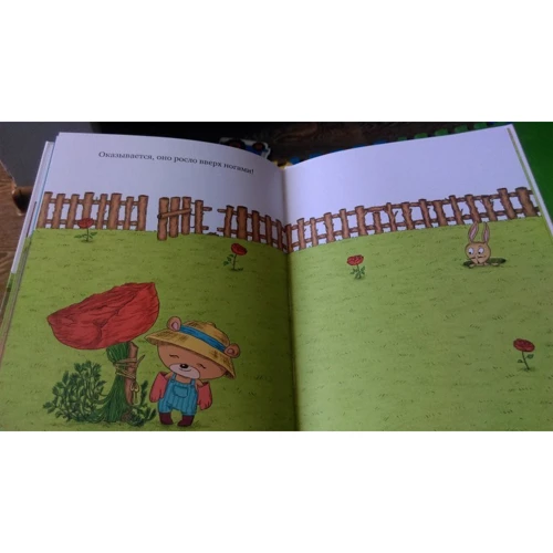 Катарина Макурова: Садовник и куст: Производитель Манн, Иванов и Фербер