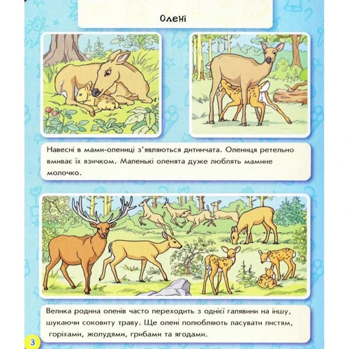Животний ліс. Енциклопедія у картинках: Обкладинка Картон